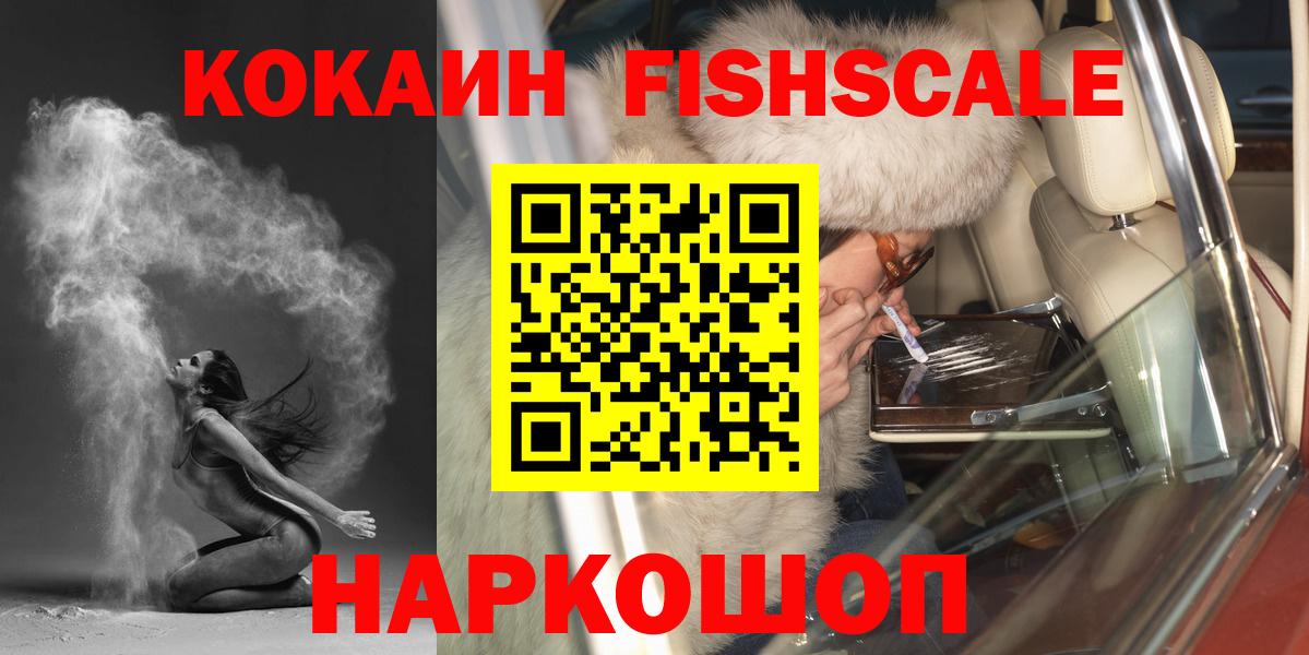 A PVP Гусев
