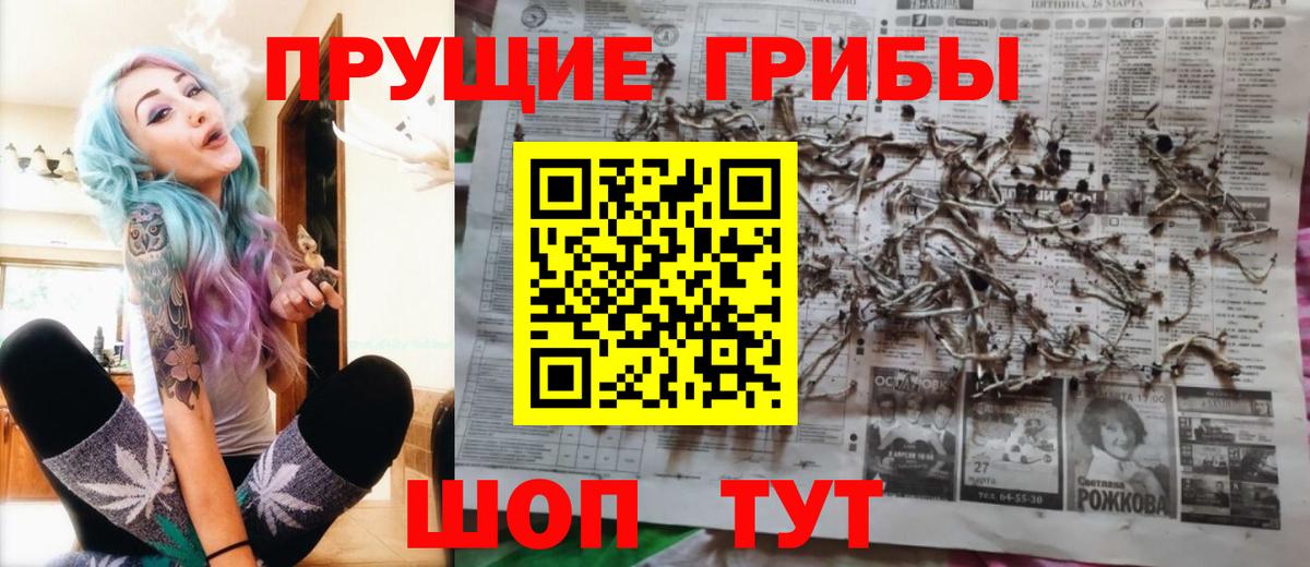 Галлюциногенные грибы Cubensis  наркотики  Гусев  Вход с VPN 